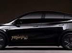Tesla offers Robotaxi 1